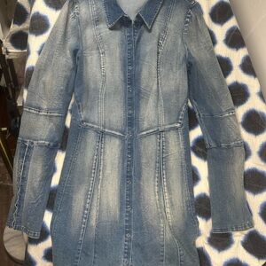 Denim Long Sleeve Button-Up Dress Free People